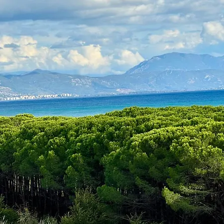 41 Velipojë