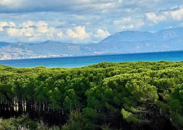 41 Velipojë